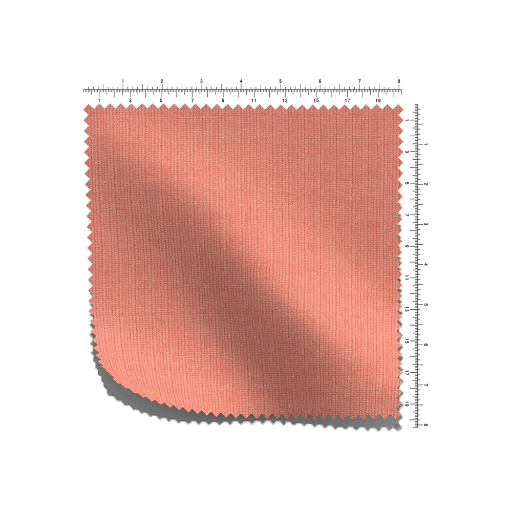 C/T/S francouzské RIB
